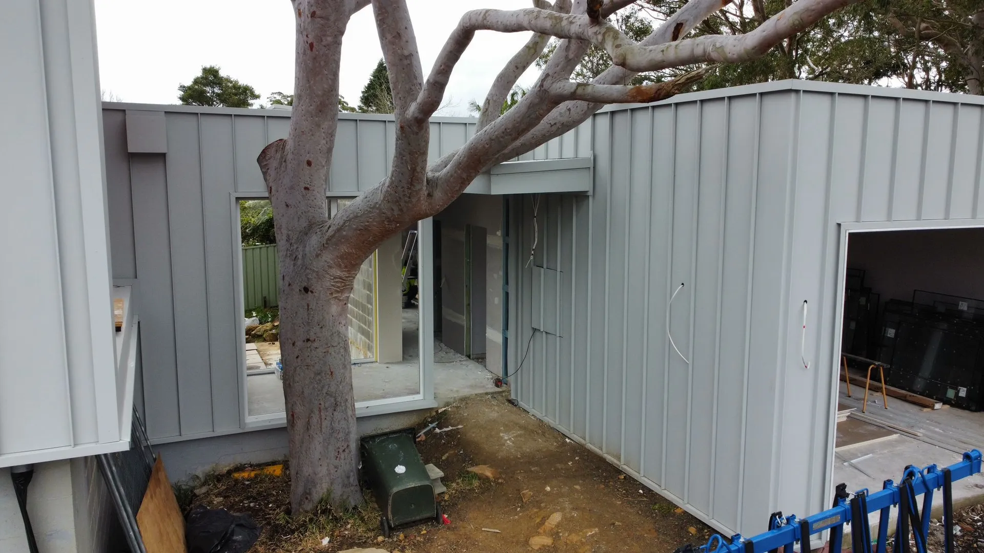 Modern house construction around large tree